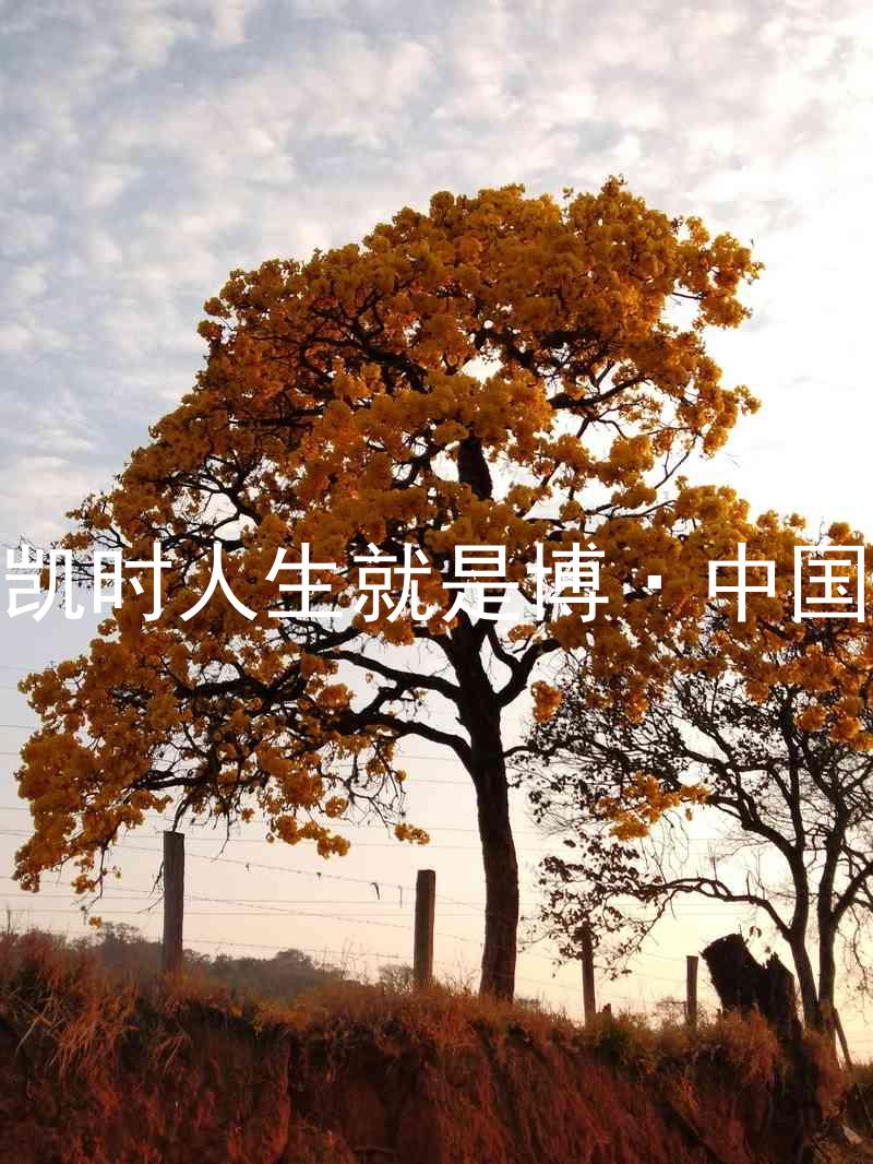 尊龙凯时人生就是博·中国z6mg