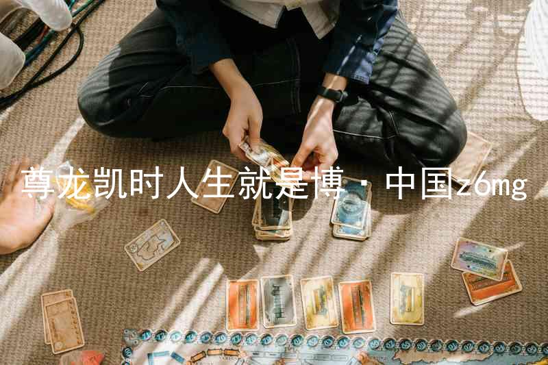 尊龙凯时人生就是博·中国z6mg